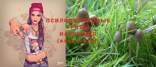 дживик Каменск-Шахтинский