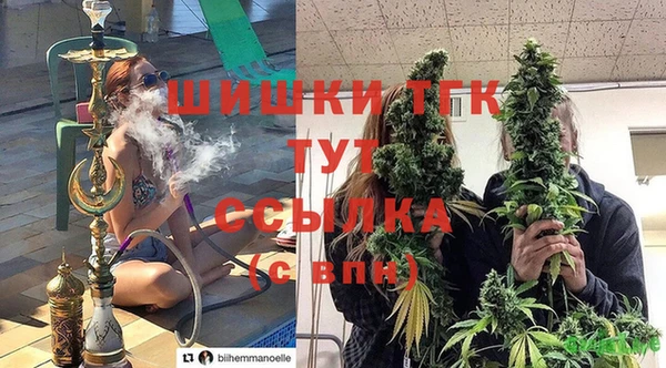 амф Каменка