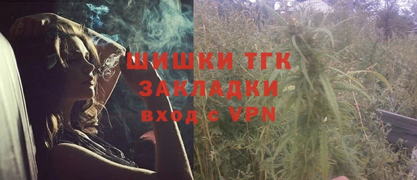 бутират Иннополис